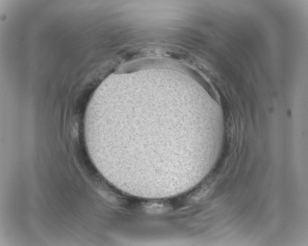 X0000065250315200603131134