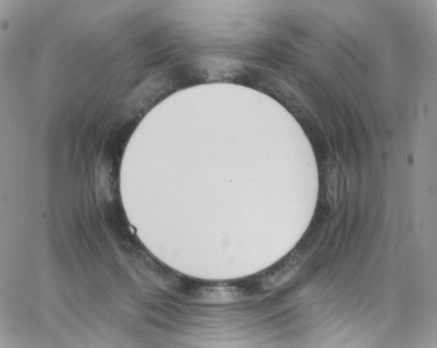 X0000065250316200603131134