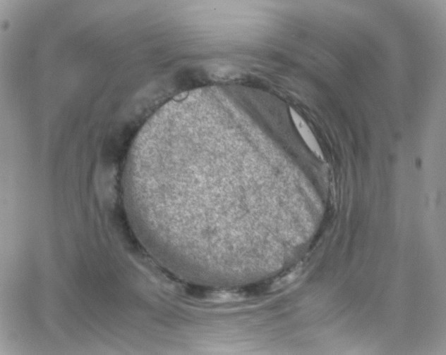 X0000065250319200603131134