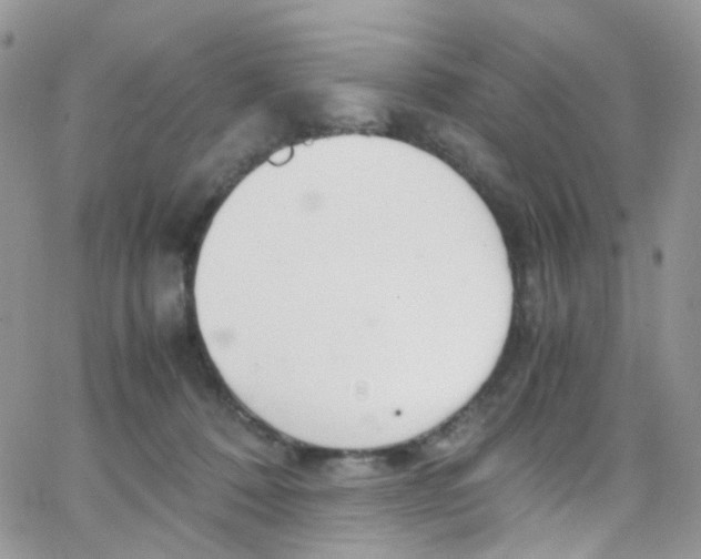 X0000065250320200603131134