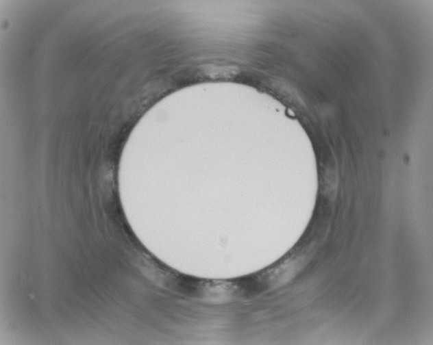 X0000065250321200603131134