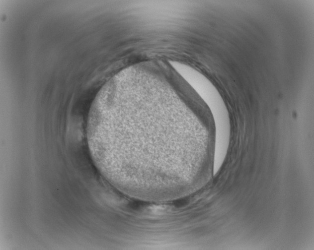 X0000065250323200603131134