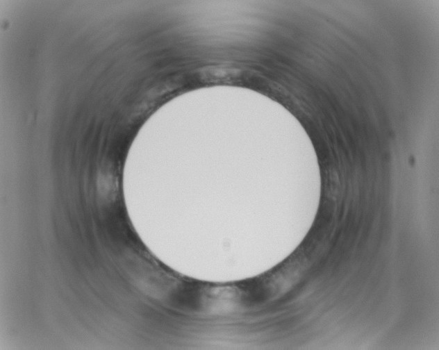 X0000065250324200603131134