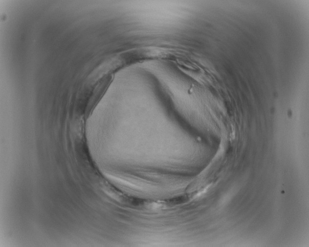 X0000065250325200603131134