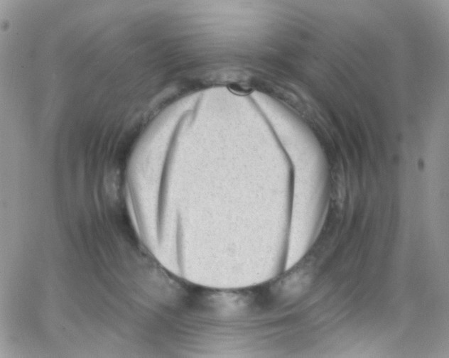 X0000065250326200603131134