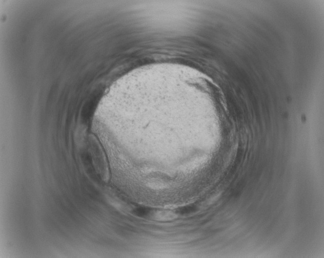 X0000065250327200603131134