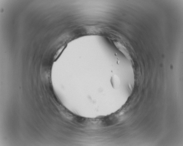 X0000065250329200603131134