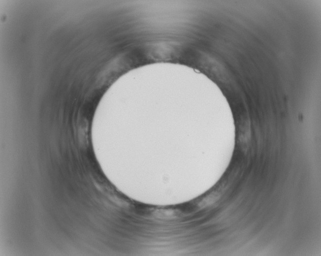 X0000065250332200603131134