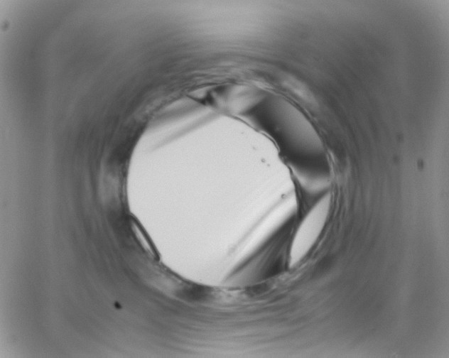 X0000065250333200603131134