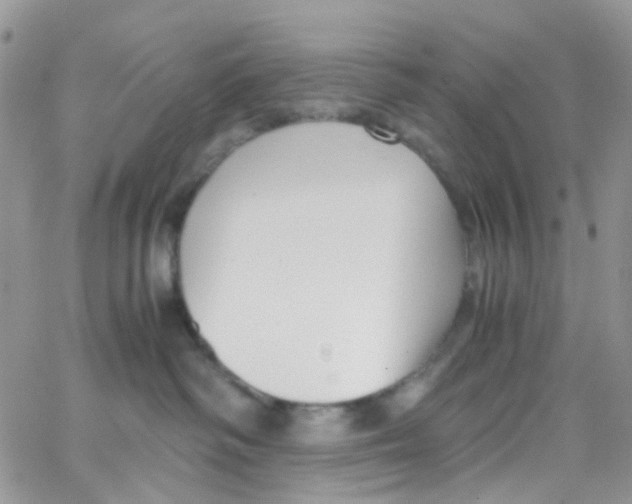 X0000065250334200603131134