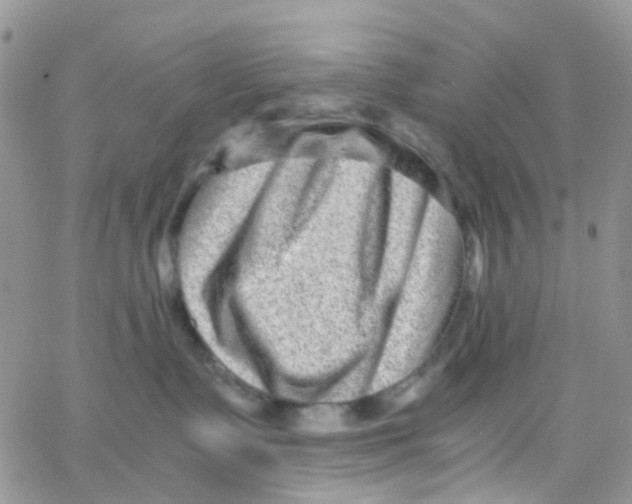 X0000065250335200603131134