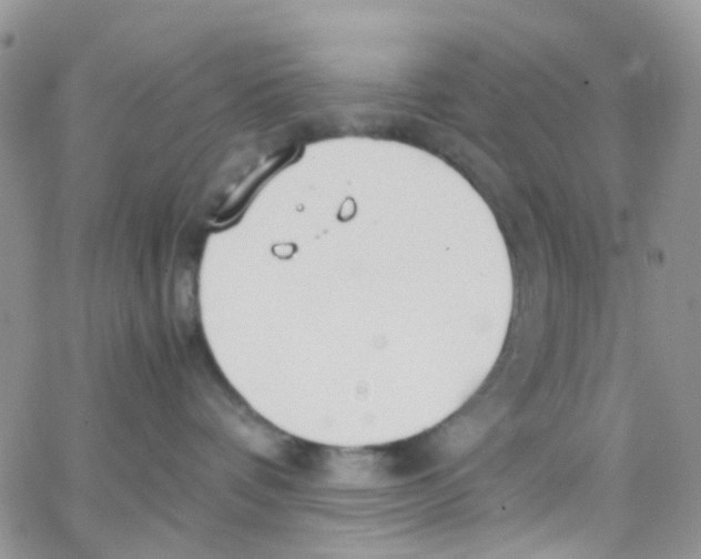 X0000065250336200603131134