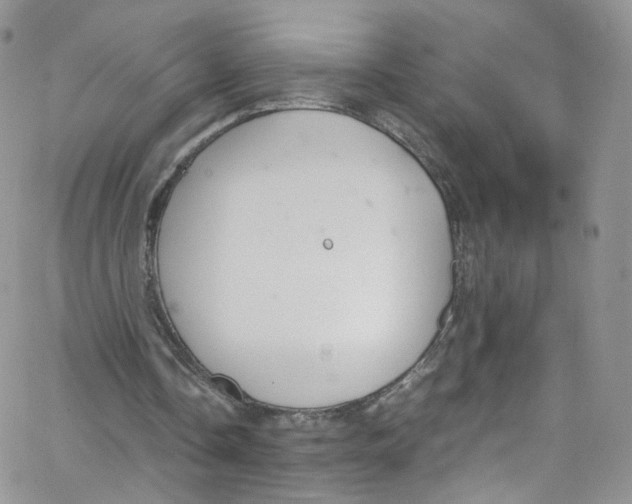 X0000065250338200603131133