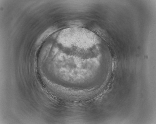 X0000065250339200603131133