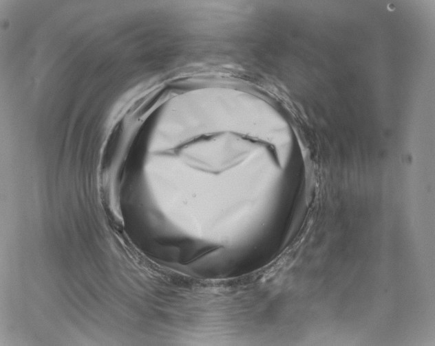 X0000065250340200603131133