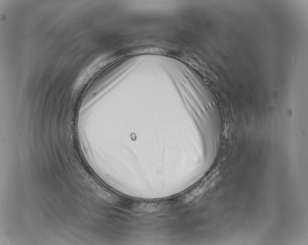 X0000065250341200603131133