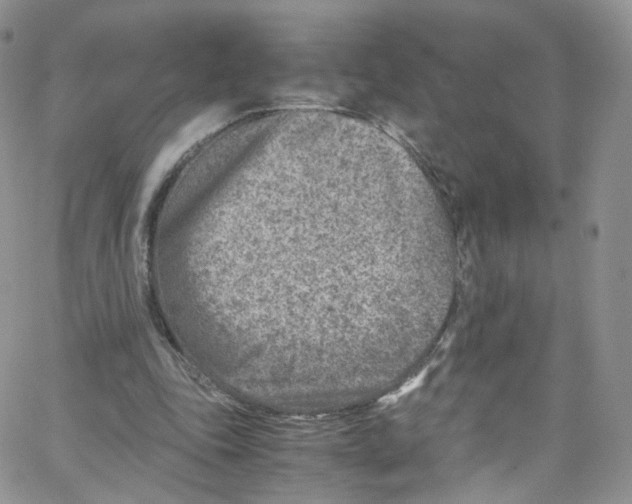 X0000065250343200603131133