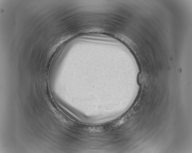 X0000065250345200603131133