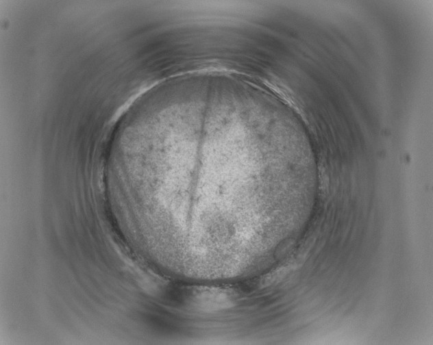 X0000065250347200603131133