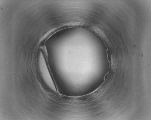 X0000065250348200603131133