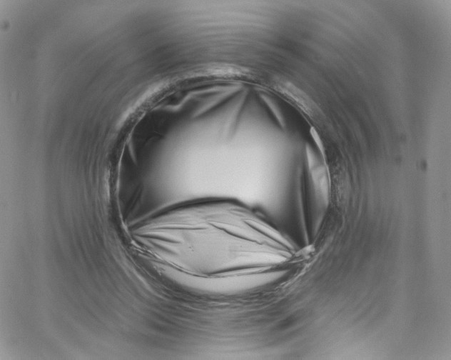 X0000065250350200603131133