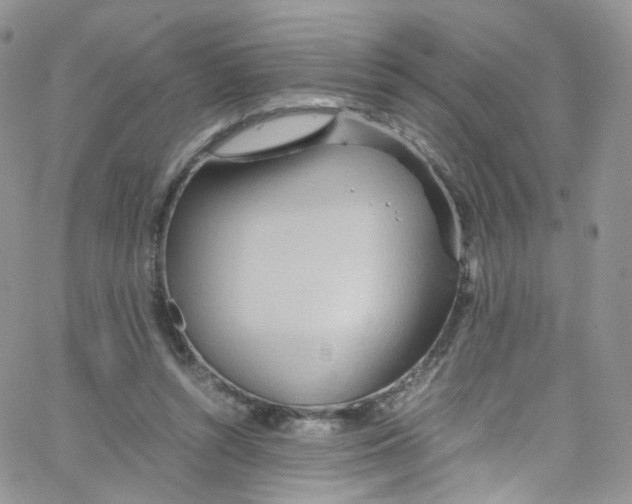 X0000065250352200603131133