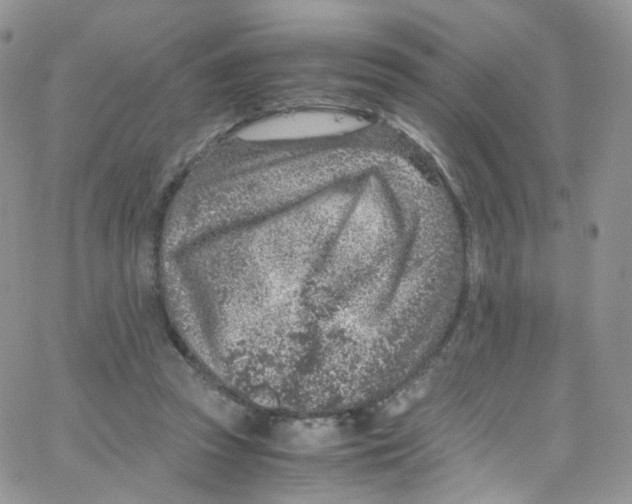 X0000065250353200603131133