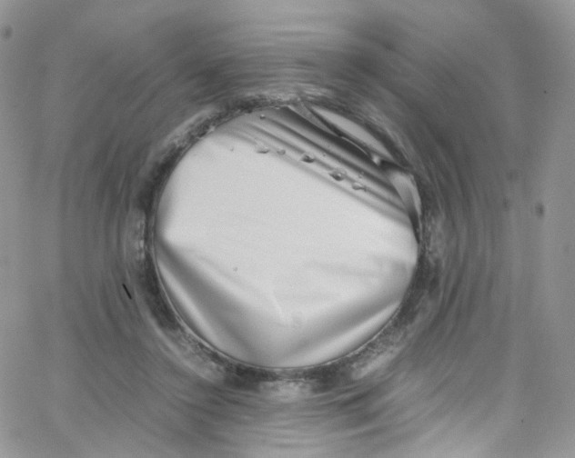 X0000065250356200603131134