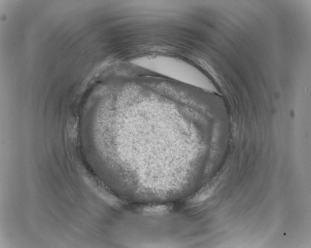 X0000065250357200603131134