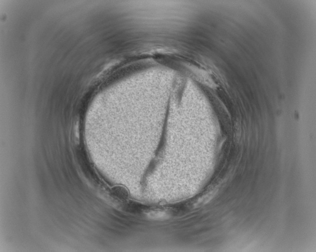 X0000065250358200603131134