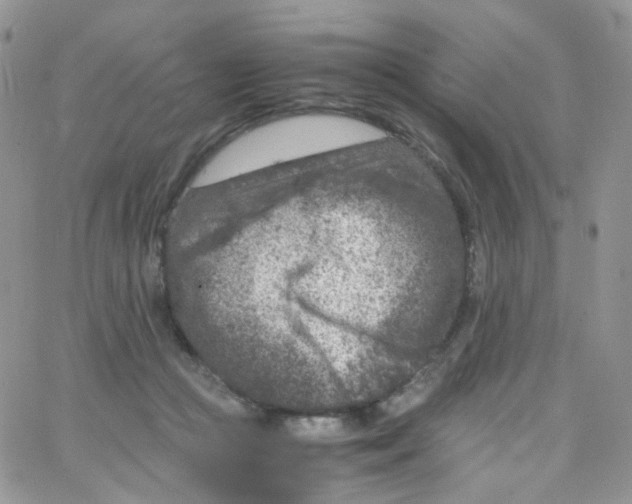 X0000065250361200603131134