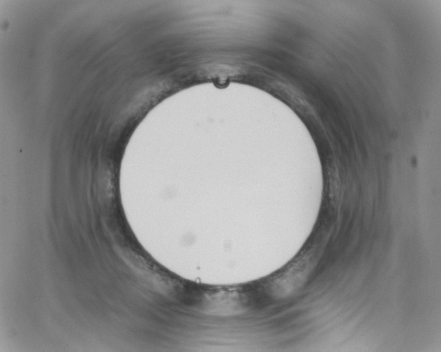 X0000065250362200603131134