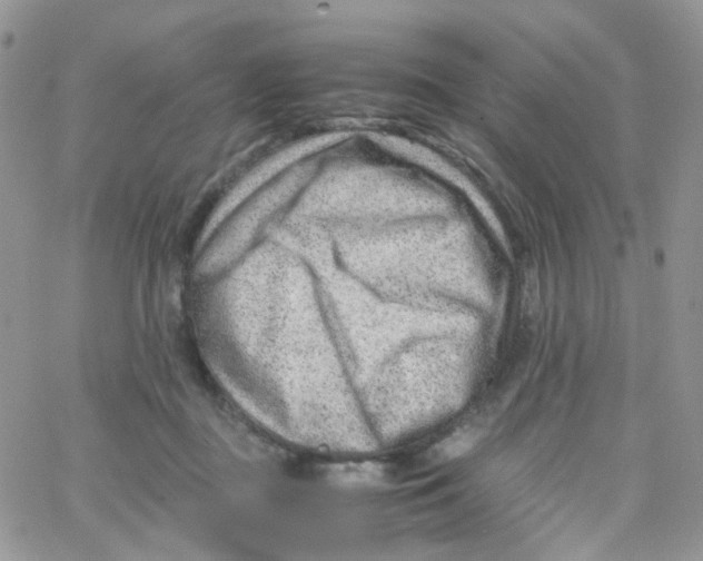 X0000065250363200603131134