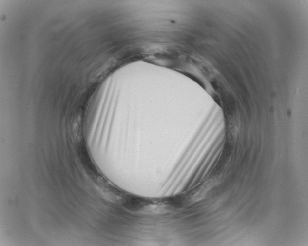 X0000065250364200603131134