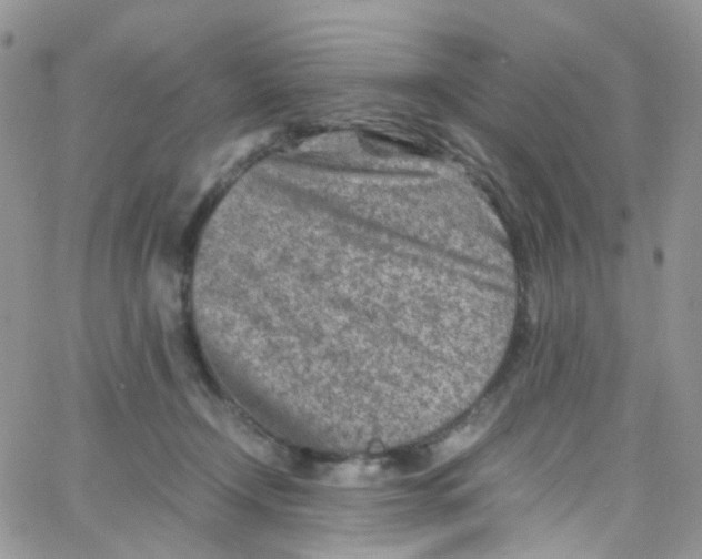 X0000065250366200603131134