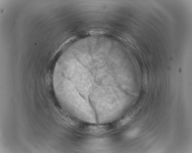 X0000065250367200603131134