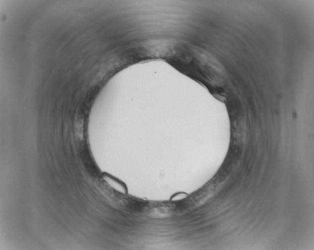 X0000065250368200603131134