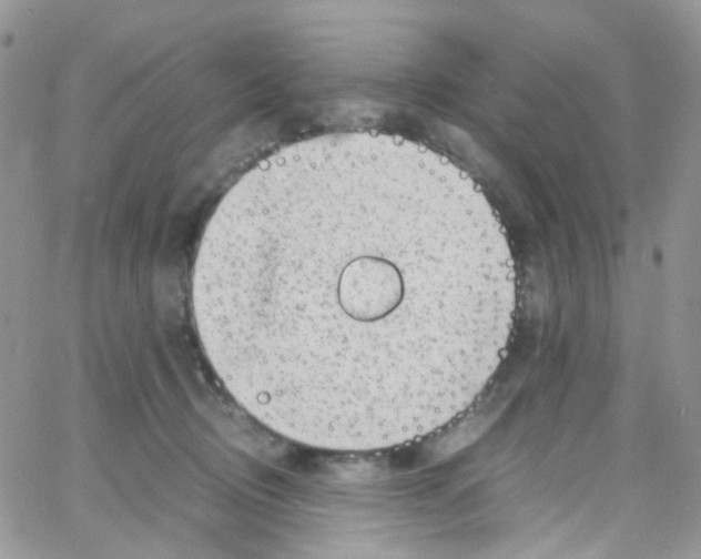 X0000065250370200603131134