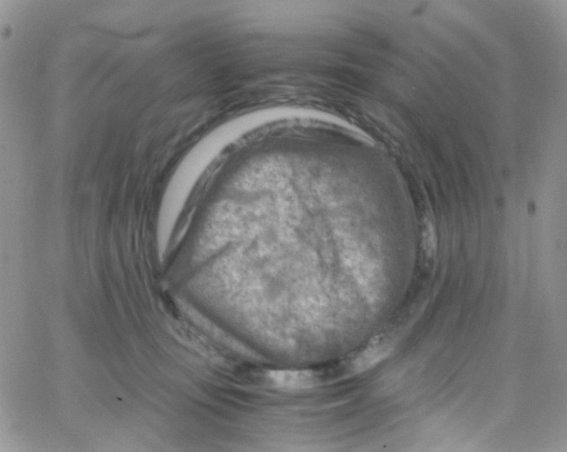 X0000065250371200603131134