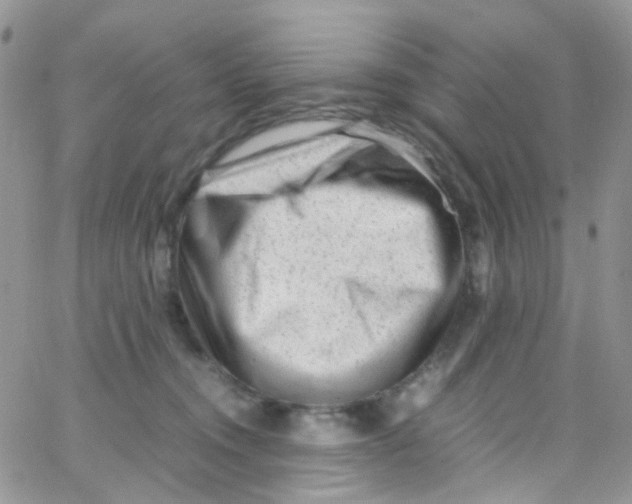 X0000065250372200603131134