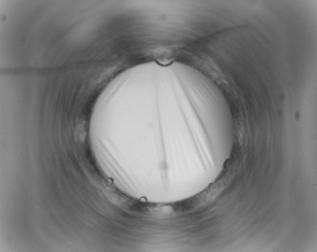 X0000065250374200603131134