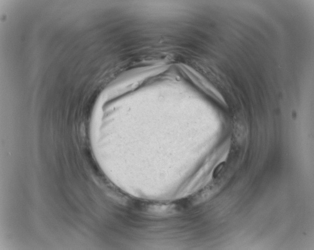 X0000065250375200603131134