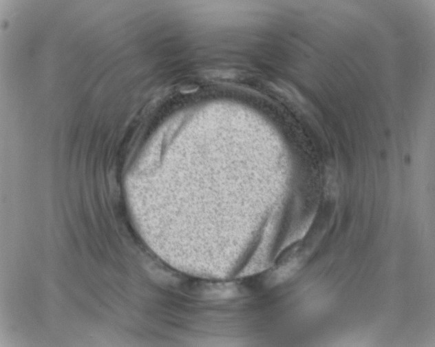 X0000065250377200603131134