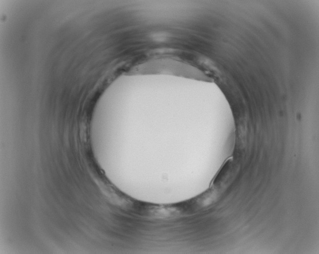 X0000065250379200603131134