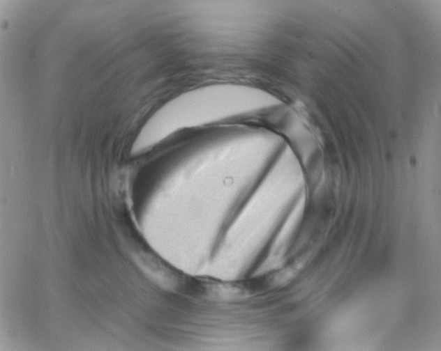 X0000065250380200603131134