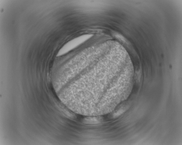 X0000065250381200603131134