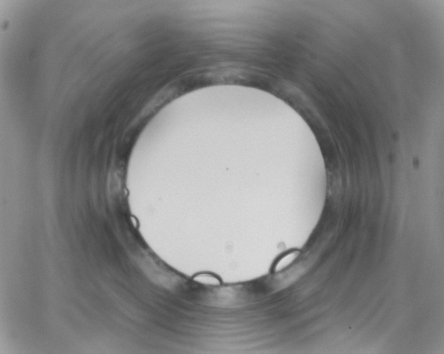 X0000065250382200603131134