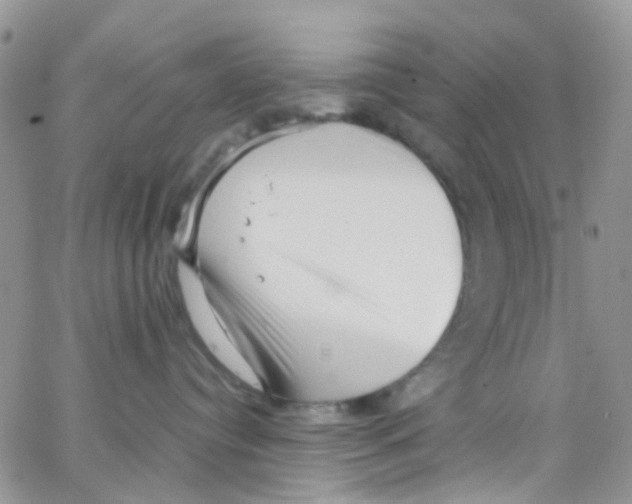 X0000065250384200603131134