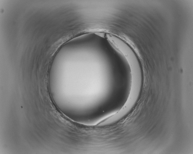 X0000065250385200603131133