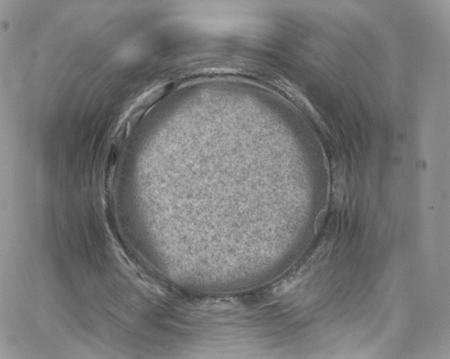 X0000065250386200603131133